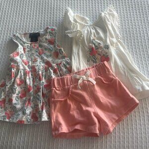 Baby girl clothing 3, 6, 9, 12 months.